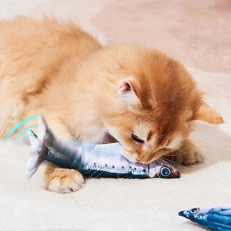 Leuk kattenspeeltje met LED – Visueel aantrekkelijk