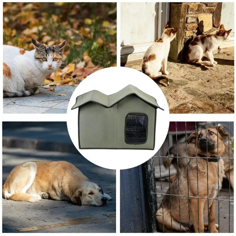 Verwarmde kattenmand – Ideaal voor de winter