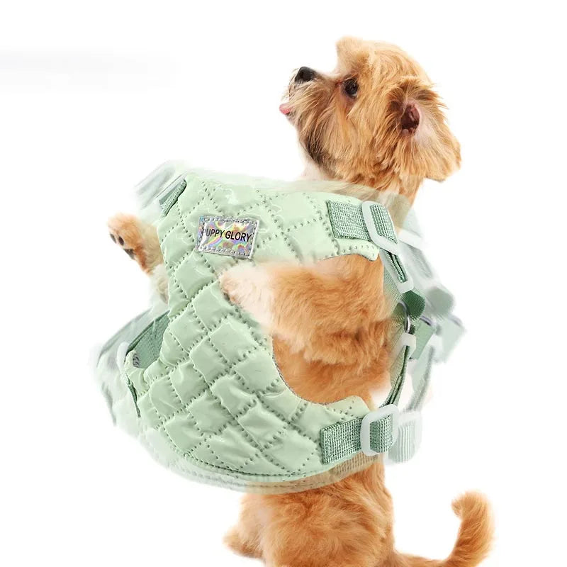 Tuigje voor hond met stijlvolle look – Praktisch en mooi