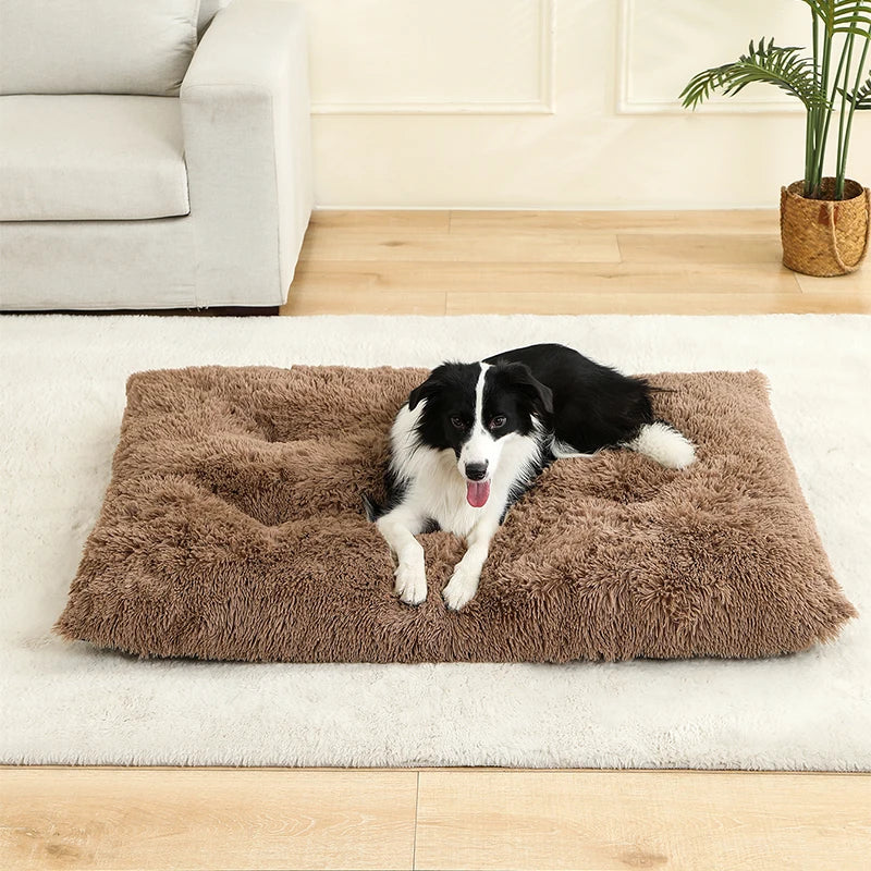 Cadeaupakket hond verjaardag – Compleet en feestelijk