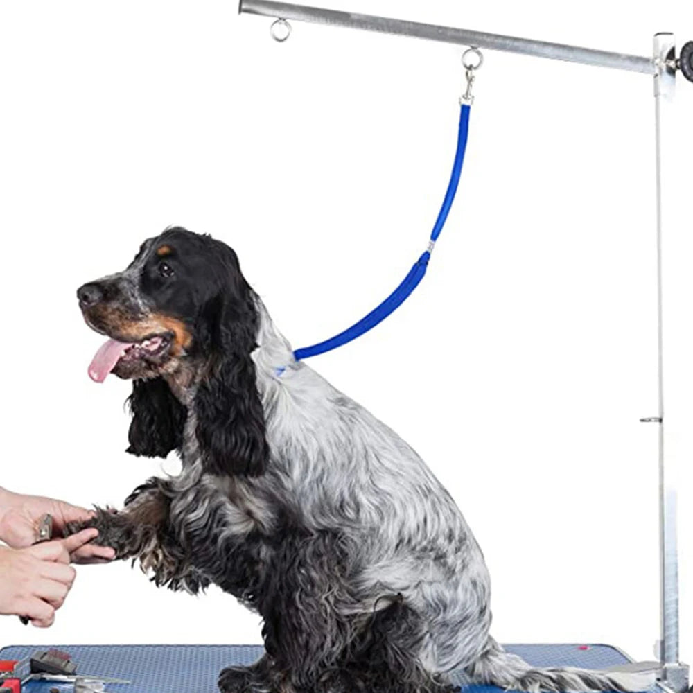 Stevig honden tuigje met metalen ring – Voor sterke honden