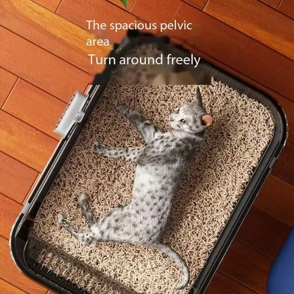 Design kattenbak – Mooi én functioneel