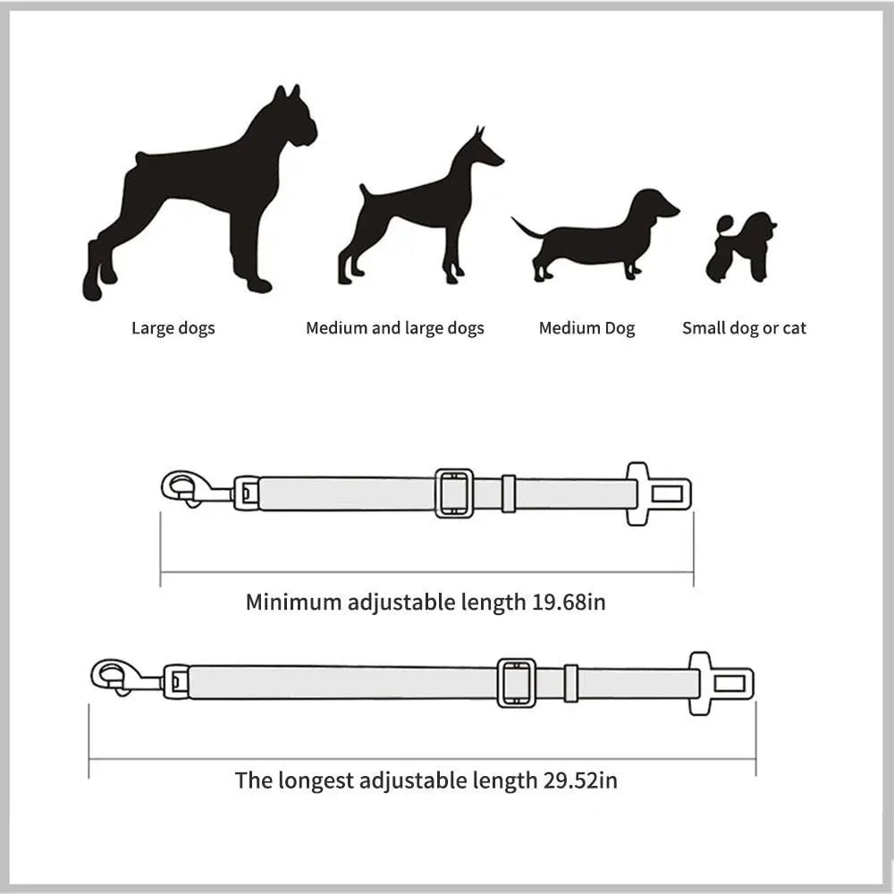 Tuigje voor honden – Comfort en controle tijdens het wandelen