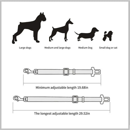 Tuigje voor honden – Comfort en controle tijdens het wandelen