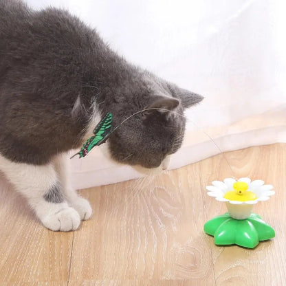 Kattenspeeltje voor interactief spel – Perfect voor samen spelen