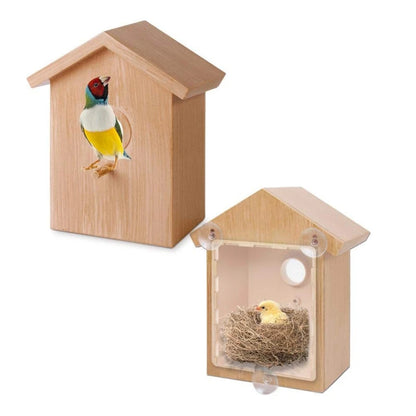 Intratuin vogelhuisje kleurrijk – Opvallend en leuk