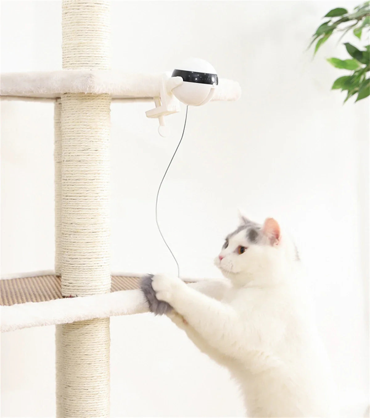Kattenspeeltje met zuignap – Blijft stevig op zijn plek