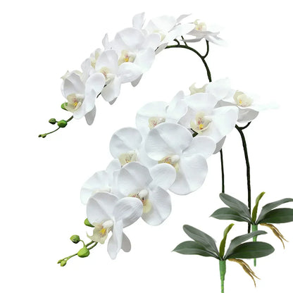 Plantenstandaard als decoratieve tuindecoratie