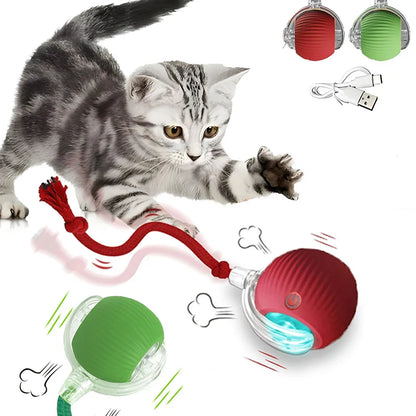 Kattenspeelgoed met automatische beweging – Speelt zelfstandig