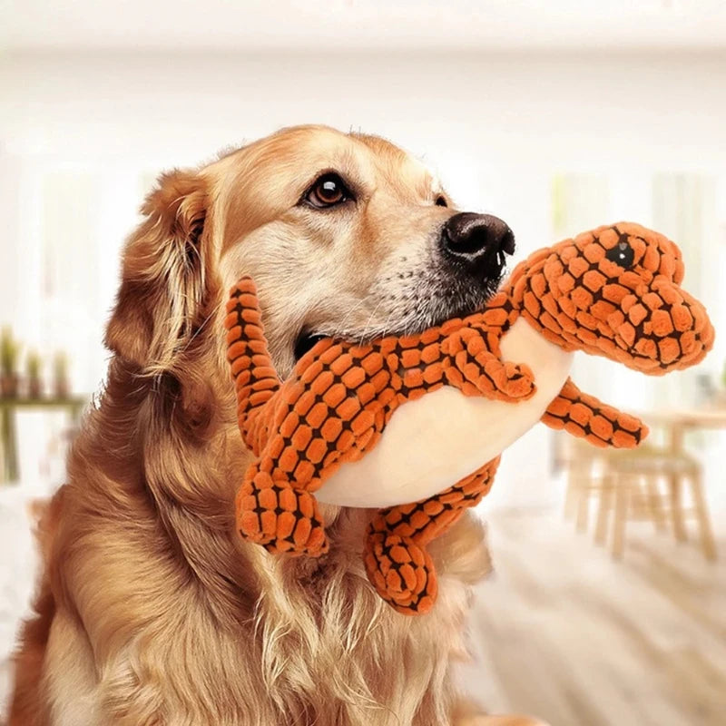 Cadeau hond feestpakket – Voor een echte party animal