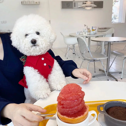 Cadeautip hond – Iets leuks voor elke pup