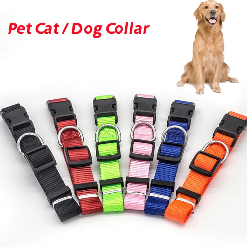 Cadeau voor honden en baasjes – Een dubbel plezier