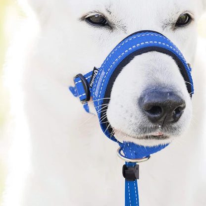 Tuigje met lange verstelband – Past op elke hond
