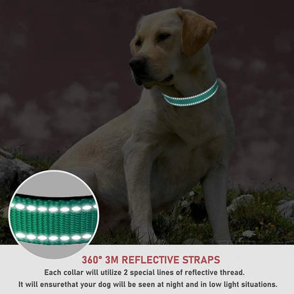 Cadeau voor hond en baas gepersonaliseerd – Lief en leuk