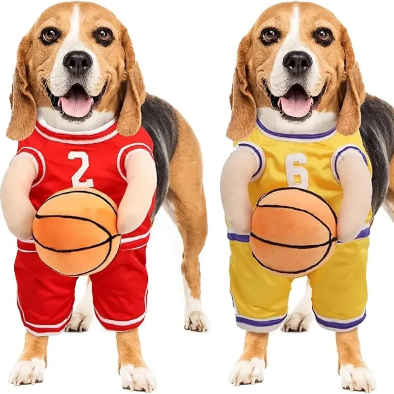 Cadeaupakket hond verjaardag – Compleet en feestelijk