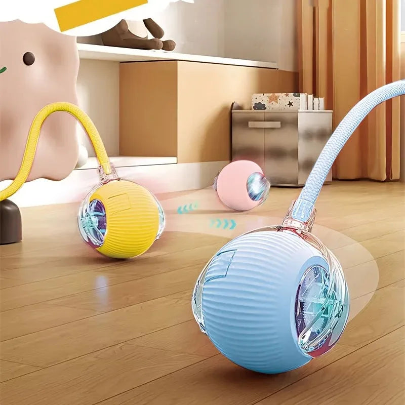 Kattenspeeltje aan stokje – Samen interactief spelen