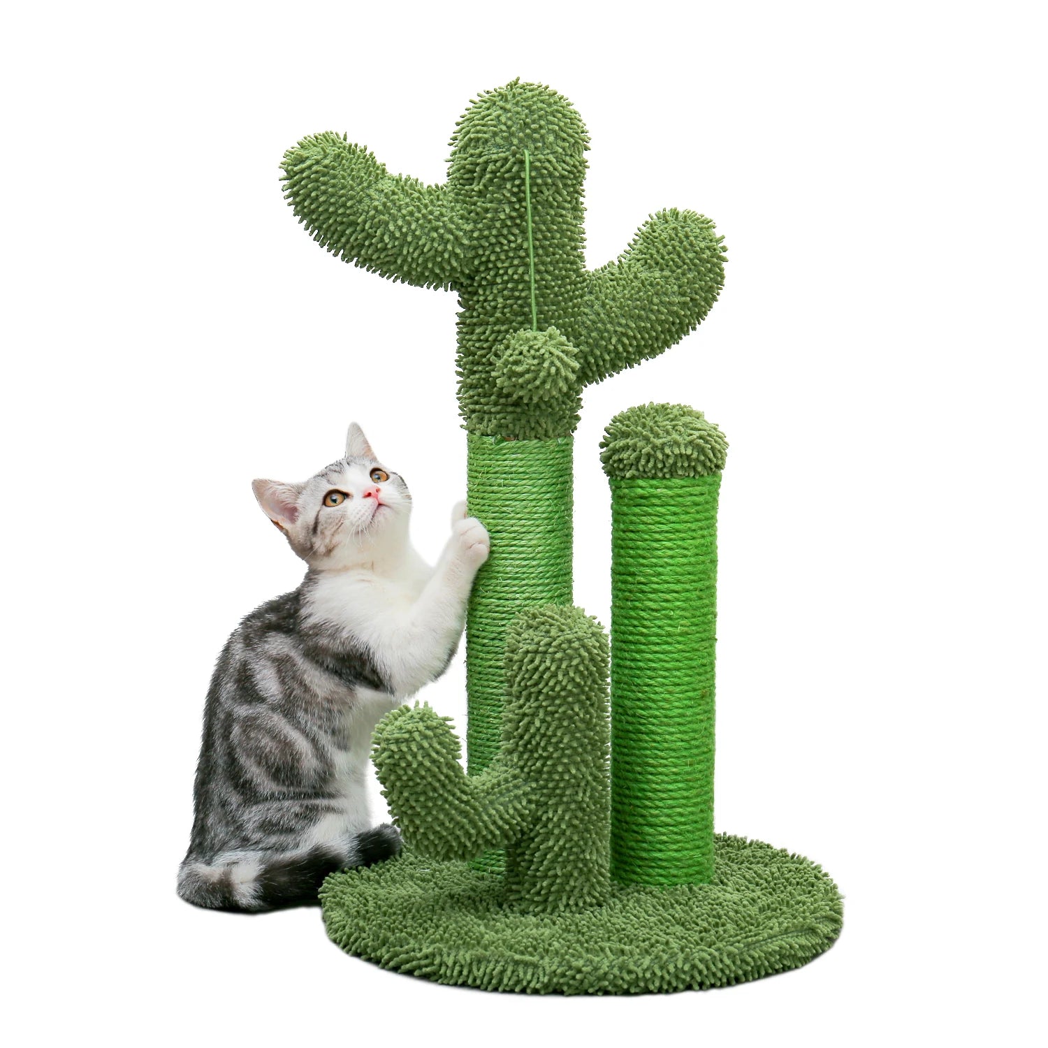 Krabpaal voor zware katten – Extra stabiel en groot