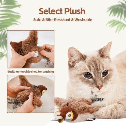 Actieve kattenspeeltjes – Voor speelse katten