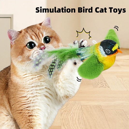 Interactieve katten speeltjes – Blijf samen in beweging