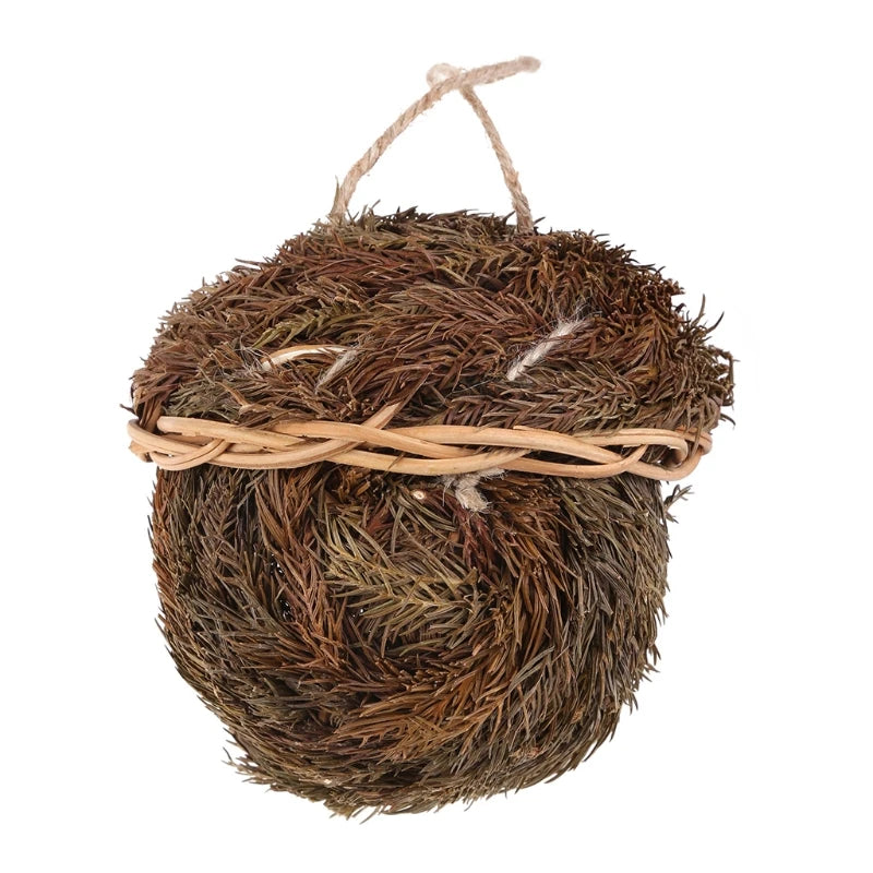 Xenos vogelhuisje met kleurtjes – Vrolijk in elke boom
