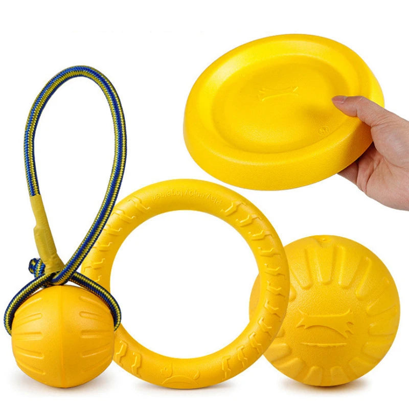 Cadeau voor hond en mens – Duo plezier