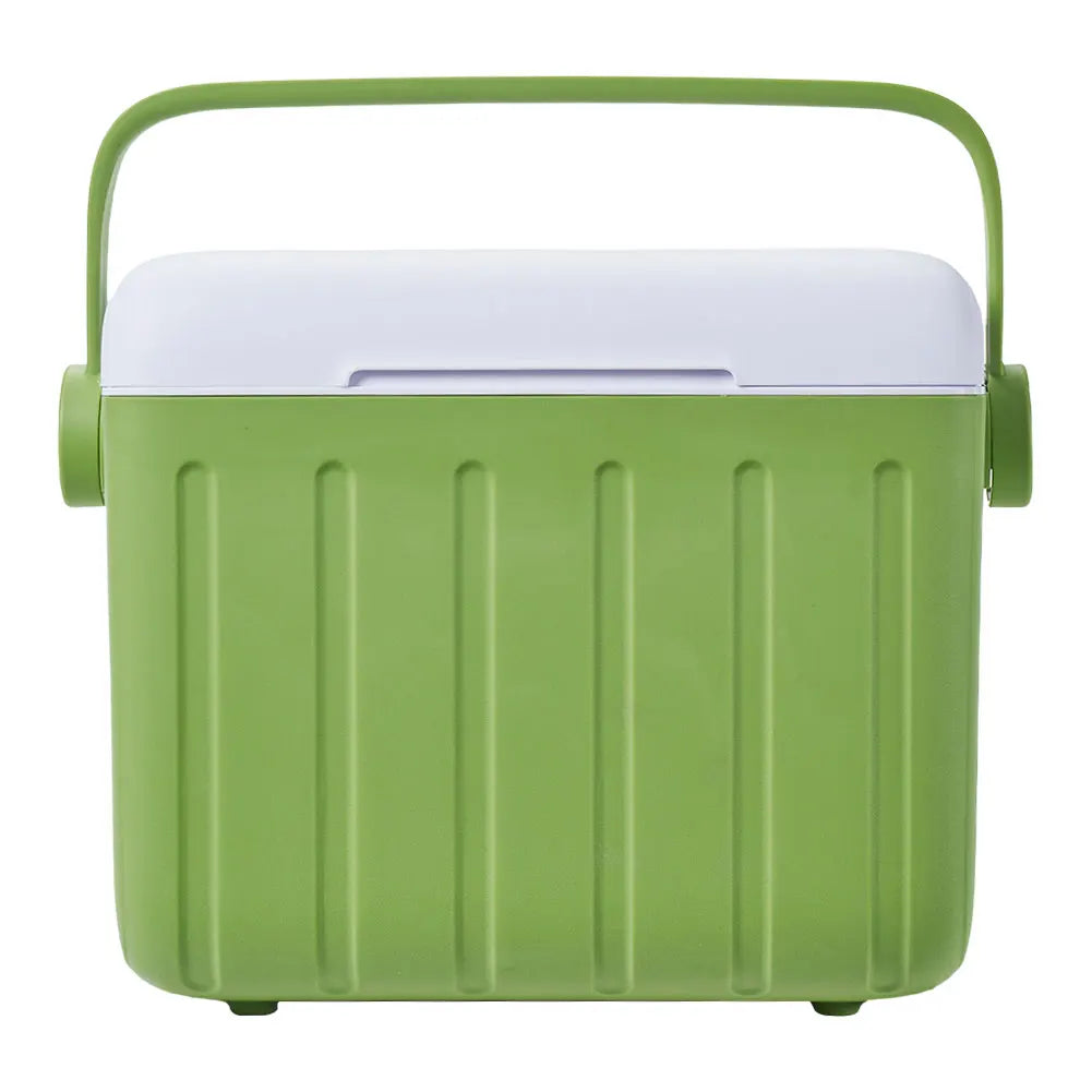 Lidl koelbox met stevig hengsel