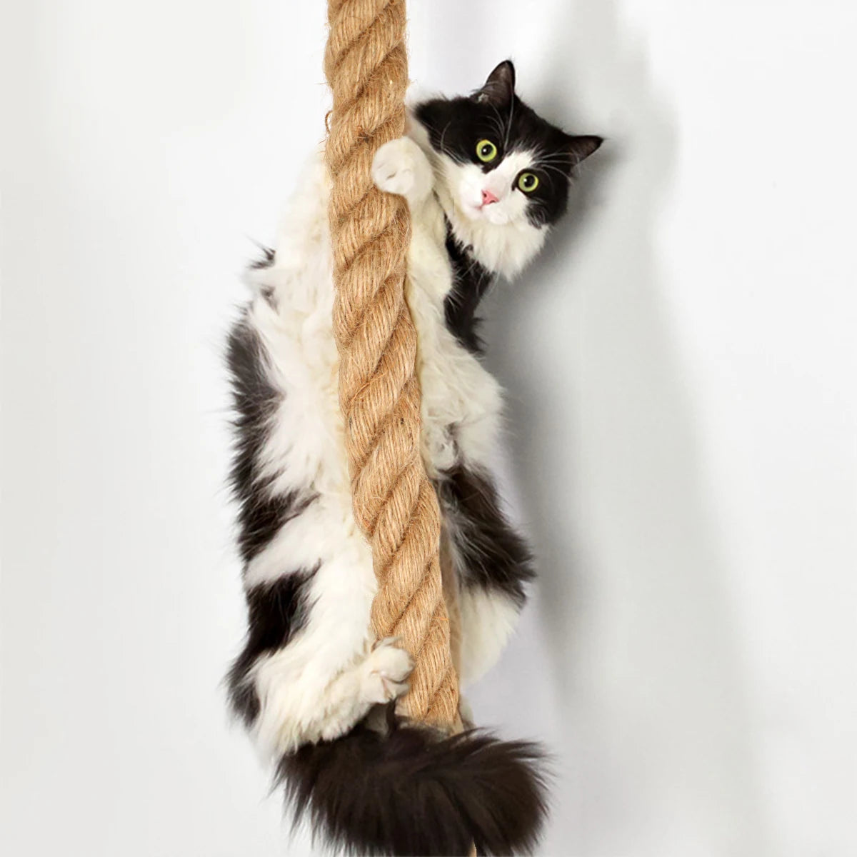 Kattenkrabpaal XXL met huisjes en platformen – Compleet speelstation