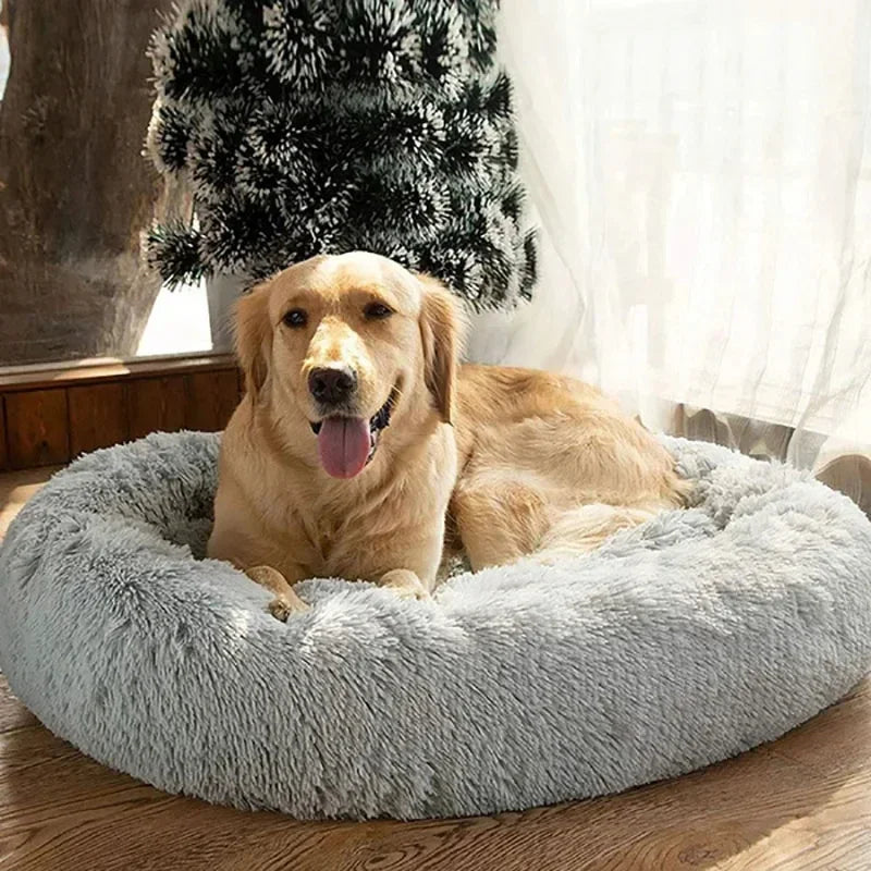 Hondenmanden – Voor elk formaat hond een passende mand