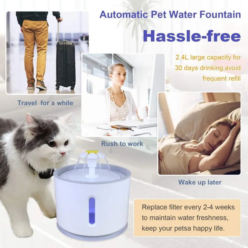 Fontein voor katten – Bevordert waterinname