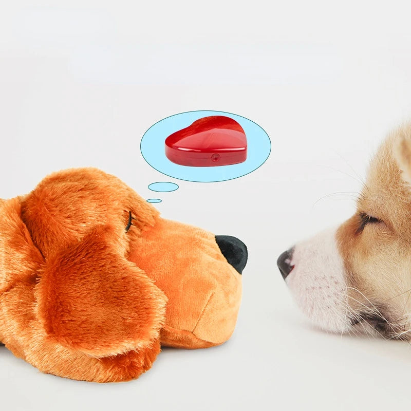 Verjaardagscadeau voor hond – Leuk en origineel