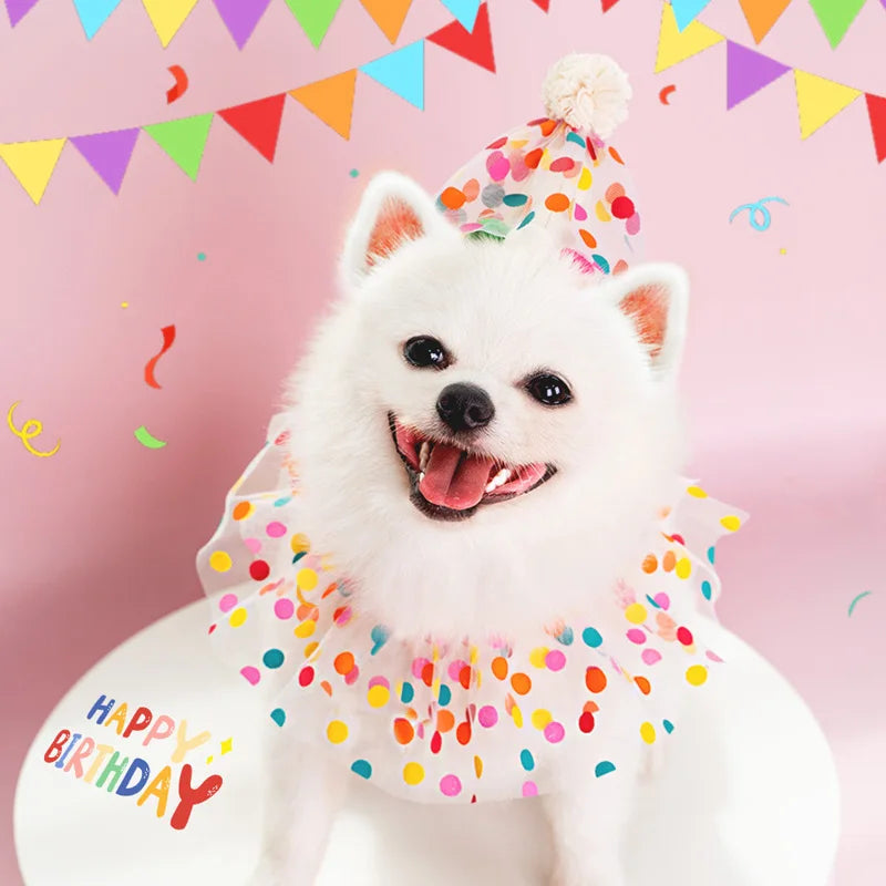 Tuigje met verstelbare rugband – Voor actieve honden