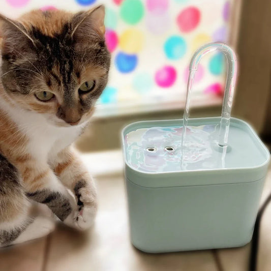 Water fontein kat met natuurlijke stroming – Voor instinctief drinken