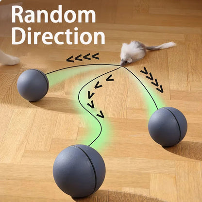 Kattenspeelgoed met kraboppervlak – Dubbel functioneel