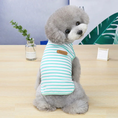 Cadeautasje hond – Vol leuke verrassingen