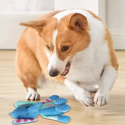 Origineel cadeau hond verjaardag – Creatief en uniek