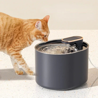 Stille drinkfontein kat – Bevordert gezondheid