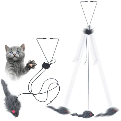 Kattenspeeltje met ritselend materiaal – Stimuleert nieuwsgierigheid