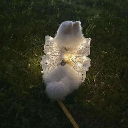 Tuigje hond met minimalistisch design – Licht en effectief
