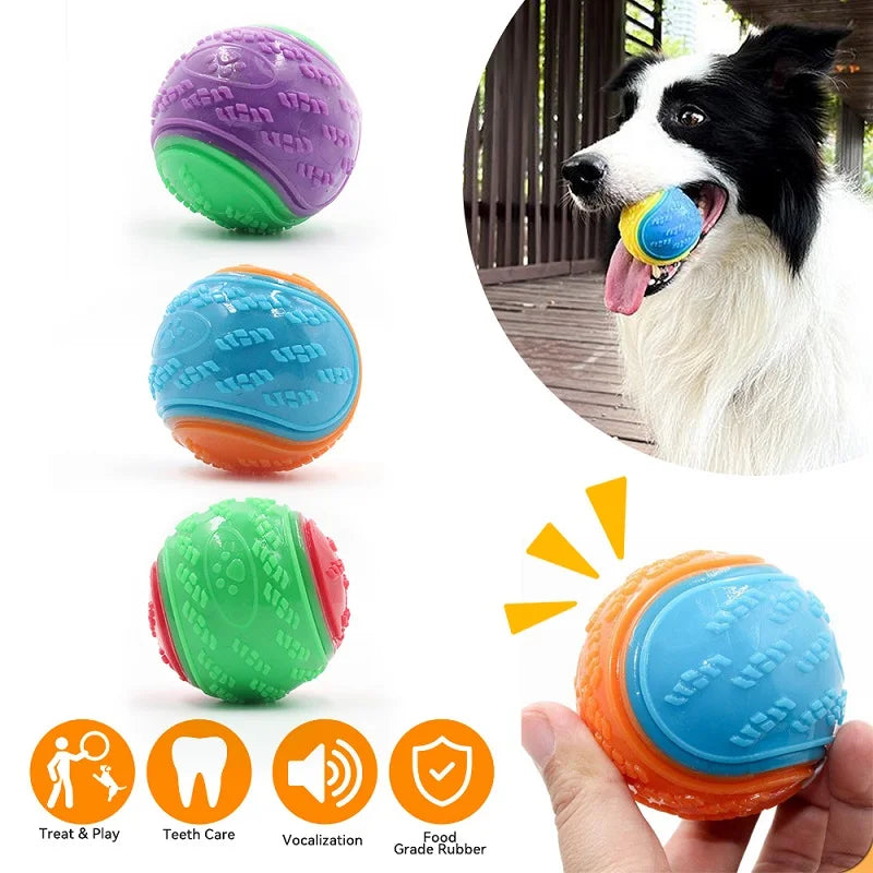 Cadeautips hond verjaardag – Inspiratie voor je beste vriend