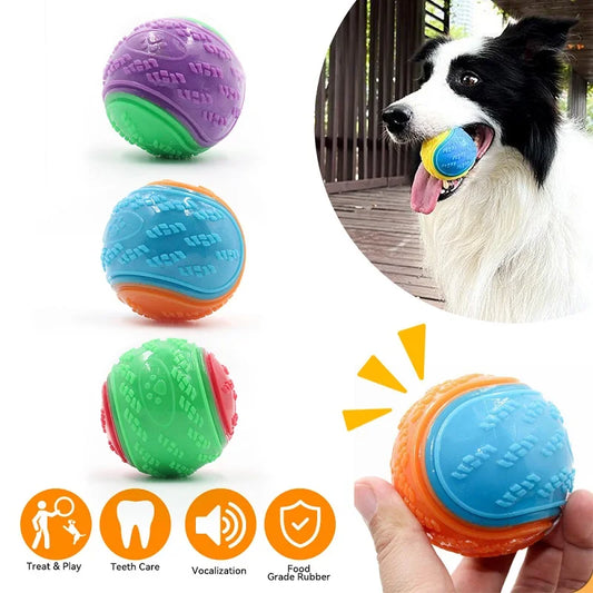 Cadeautips hond verjaardag – Inspiratie voor je beste vriend