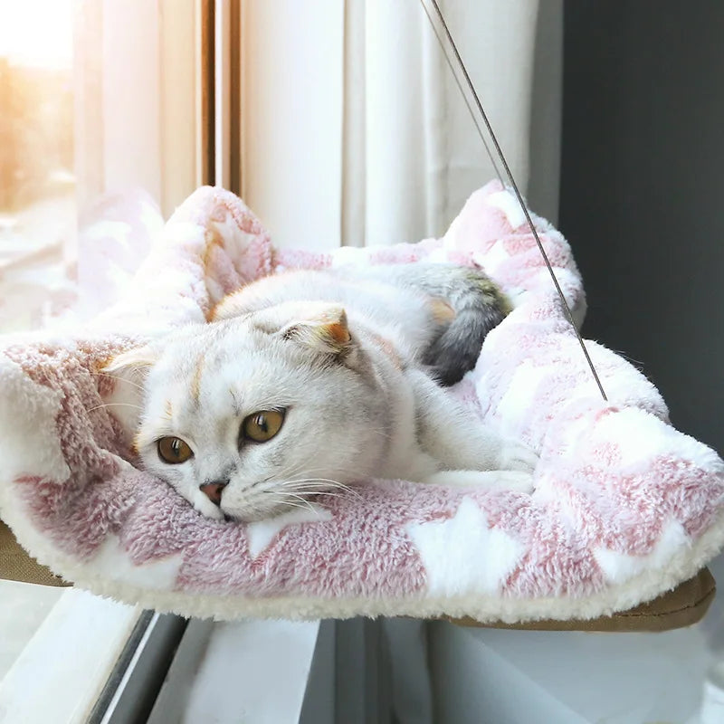 Kattenmand groot met lage instap – Voor gemakkelijke toegang