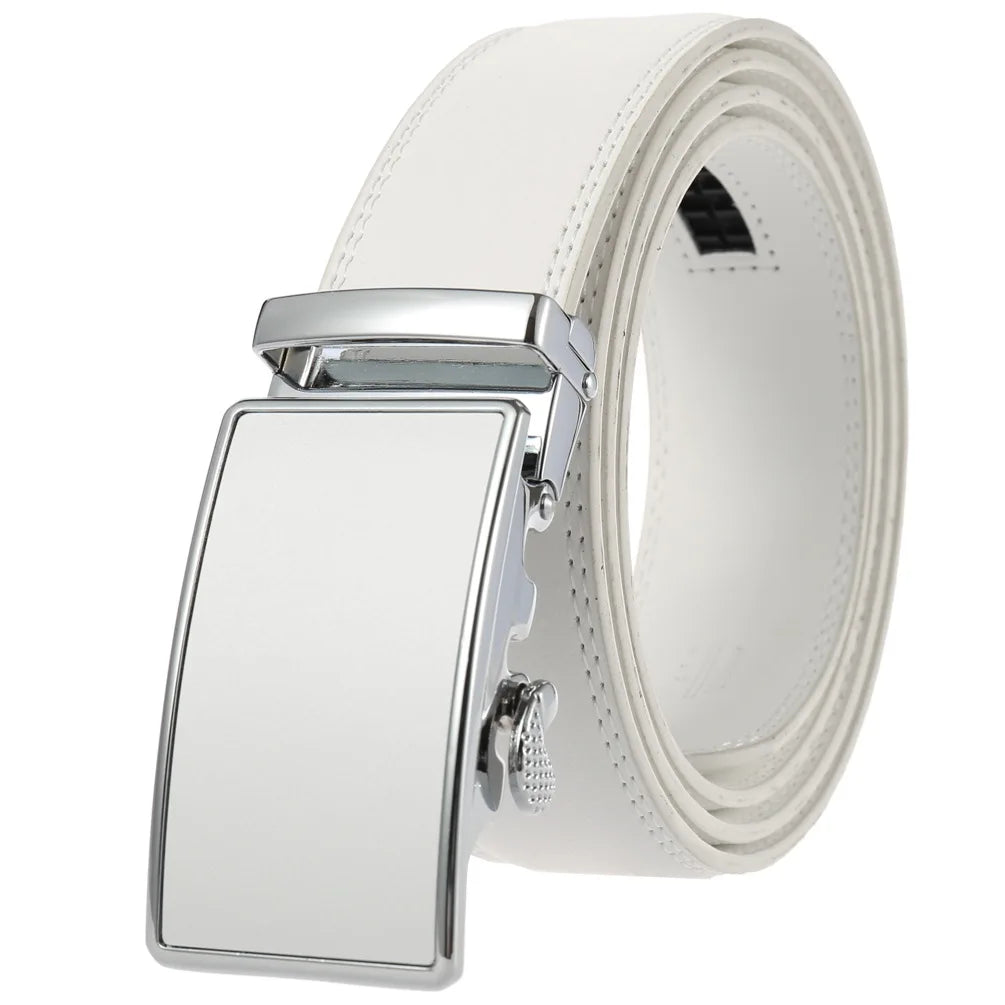 Moderne riem heren met matte metalen gesp