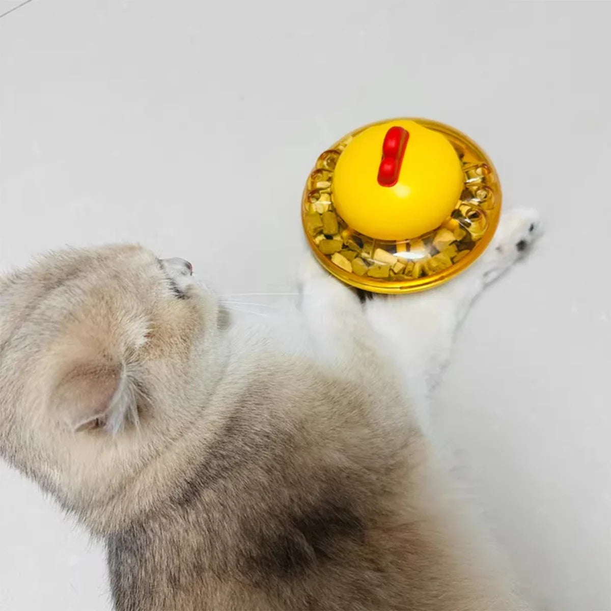 Kattenspeeltjes Action met gratis catnip – Extra waarde