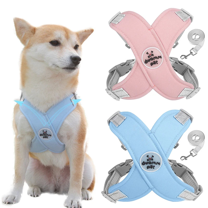Comfort tuigje voor oudere honden – Zacht en ondersteunend