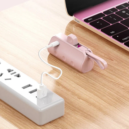 Powerbank met 3 laaduitgangen