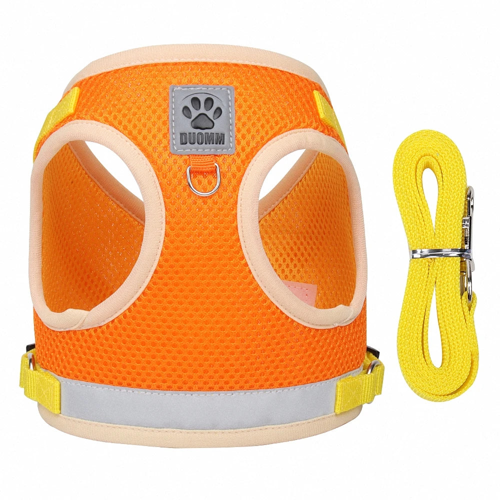 Hondentuig met zachte binnenkant – Voor extra draagcomfort