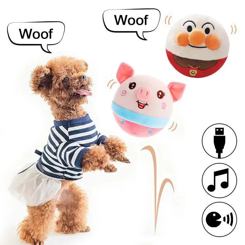 Cadeau hond met speeltjes – Spelen, bijten, genieten