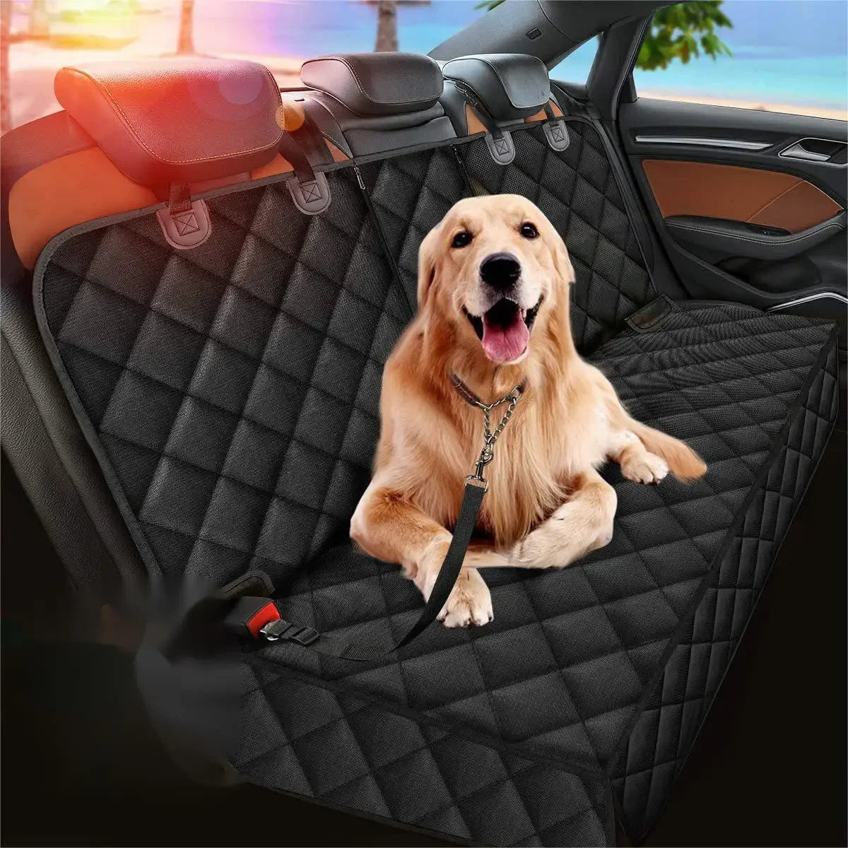 Hondentas met extra padding – Voor gevoelige honden