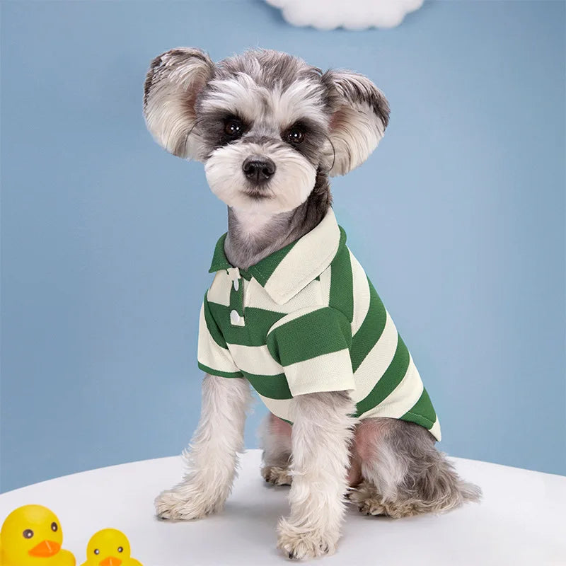 Speelgoed cadeau voor hond – Actief en leuk