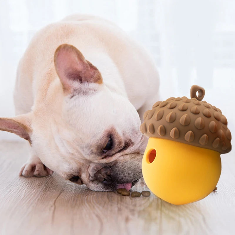 Cadeau hond met naam – Gepersonaliseerd en uniek